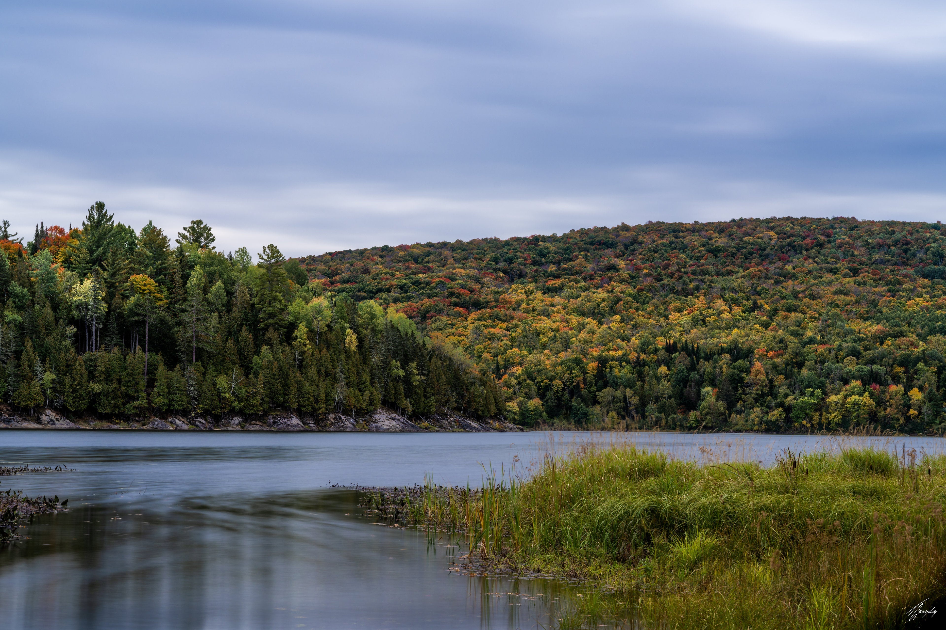 Autumn Flow
