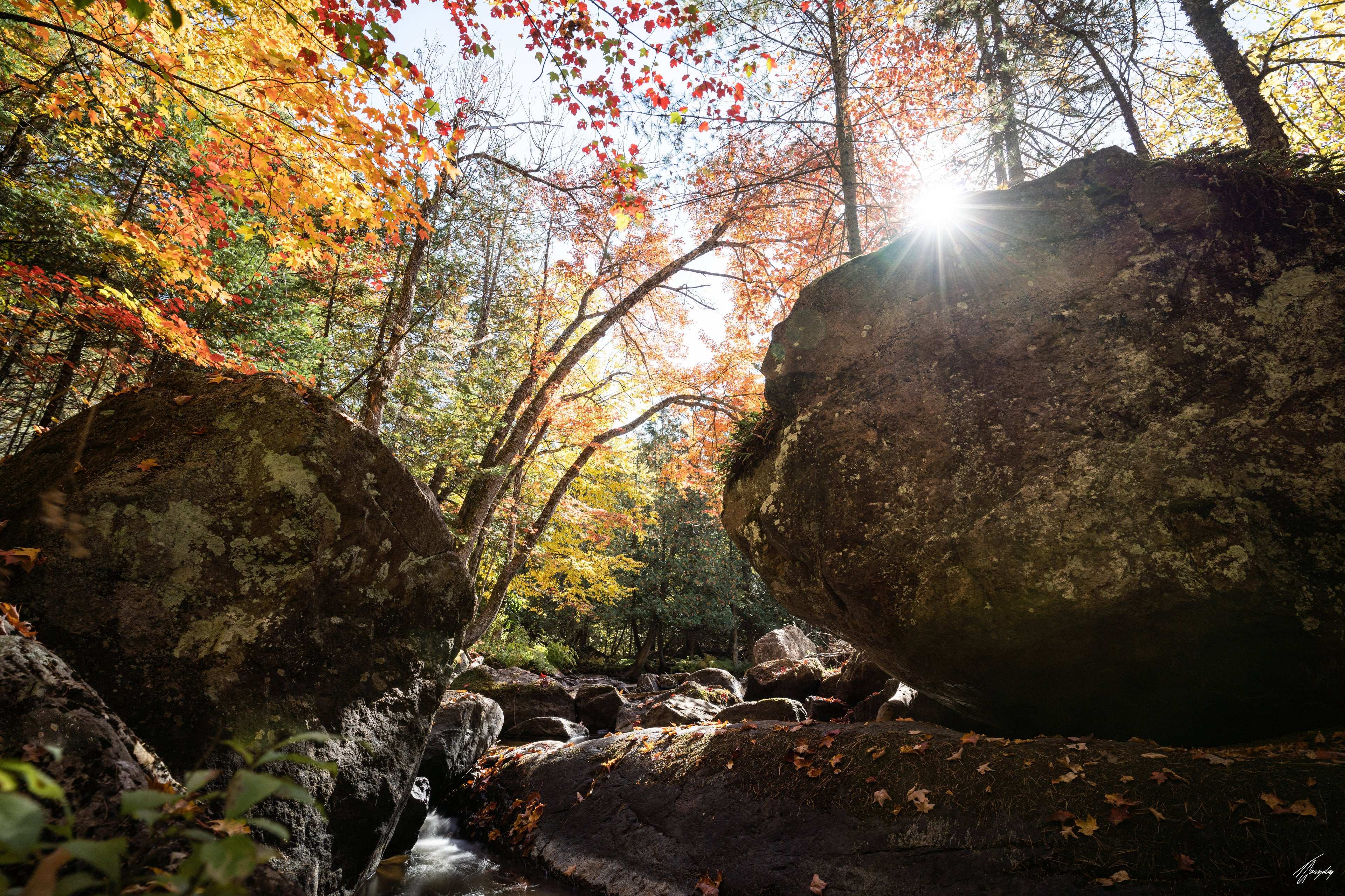 Autumn Sun