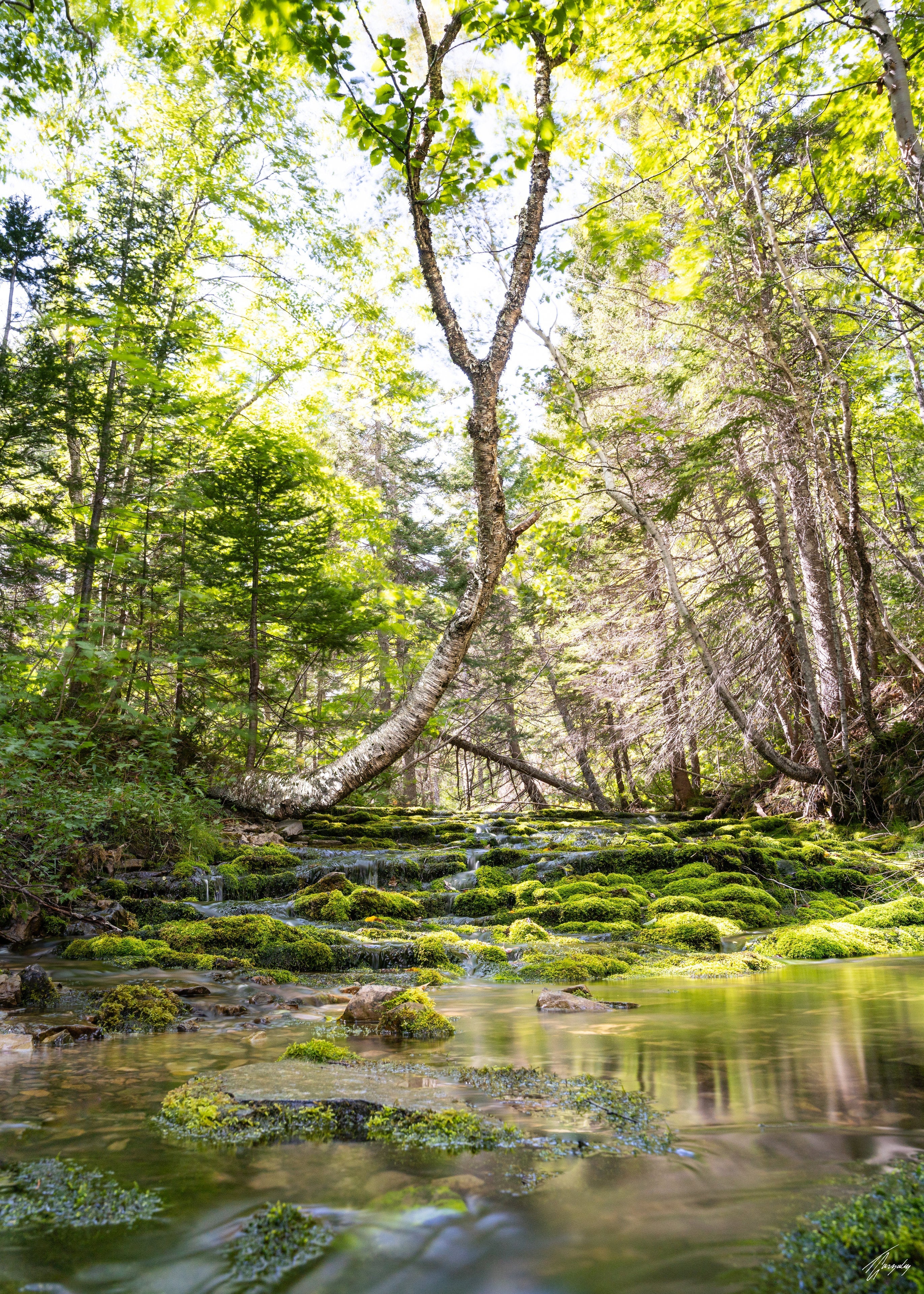 Mysterious River