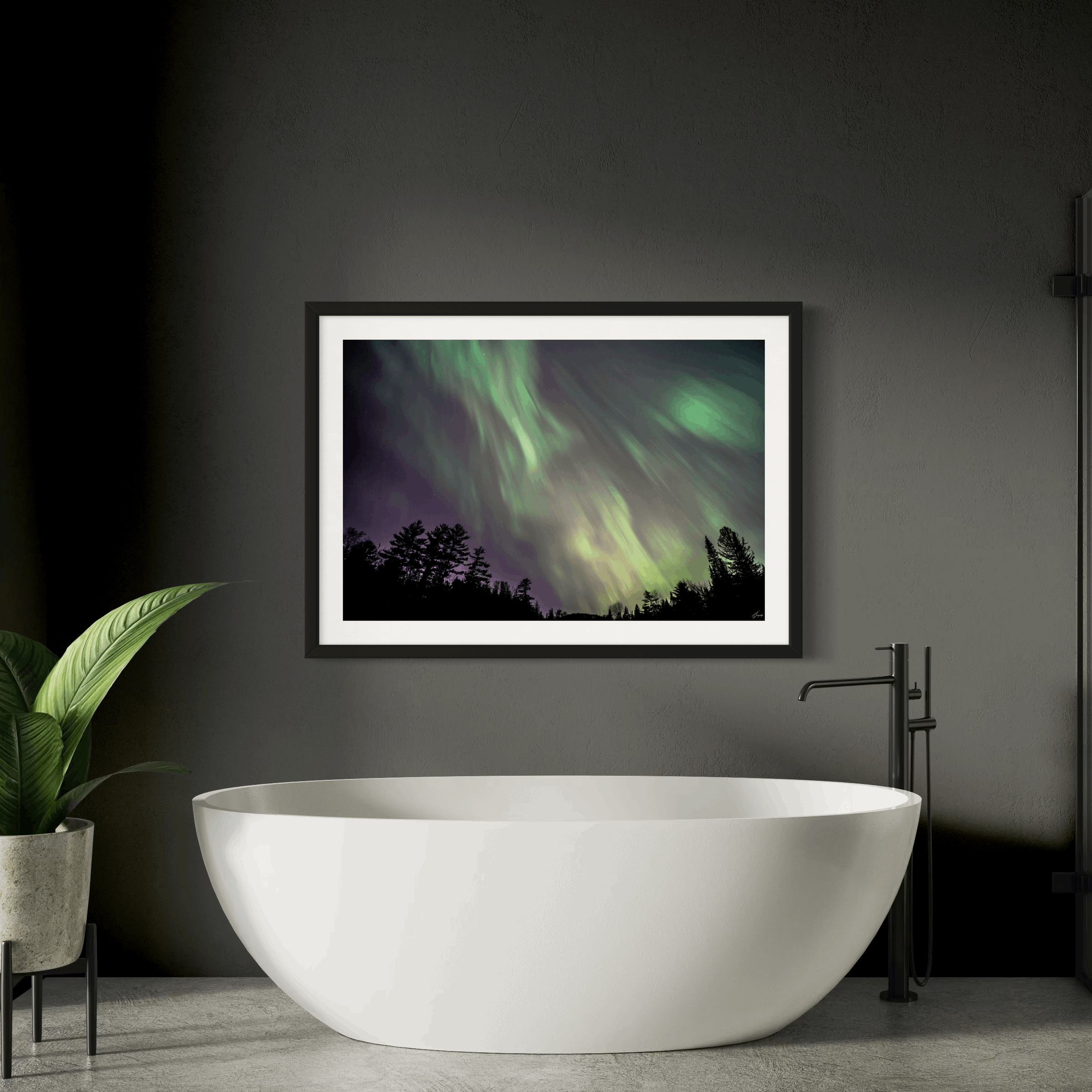 Solar Wind