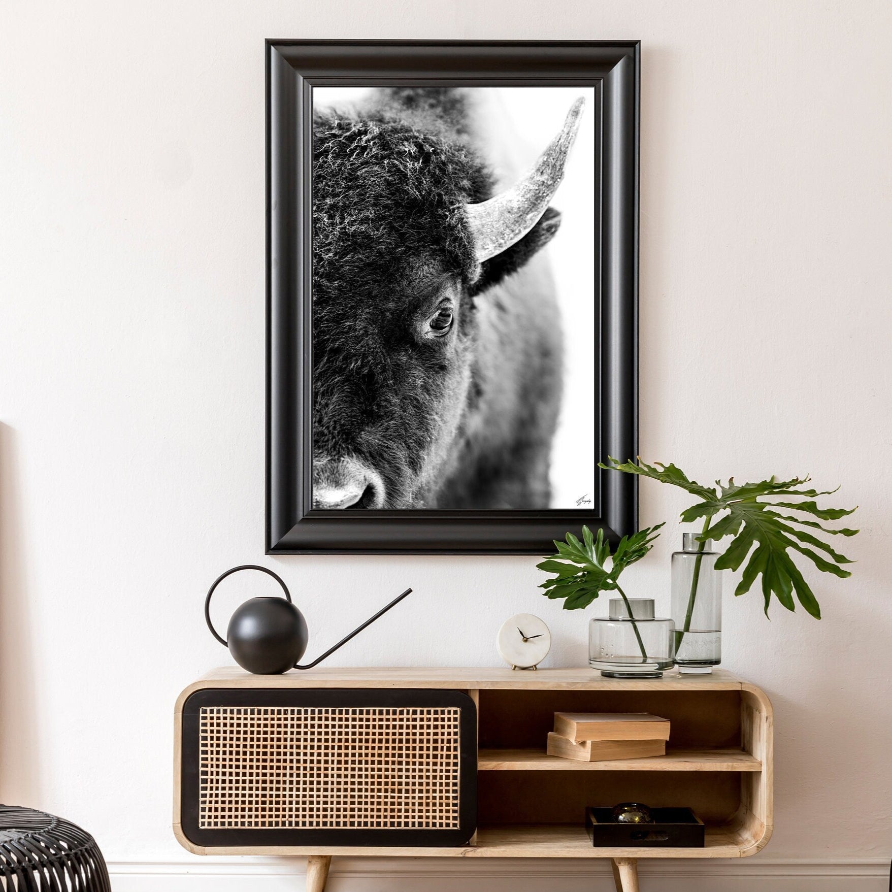 Young Bison