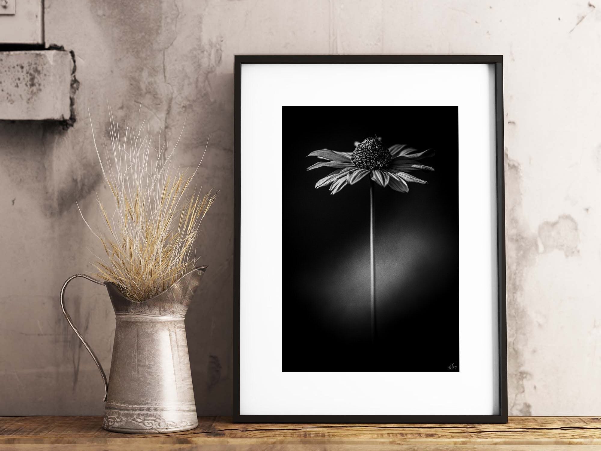 Flora & Darkness No. 15