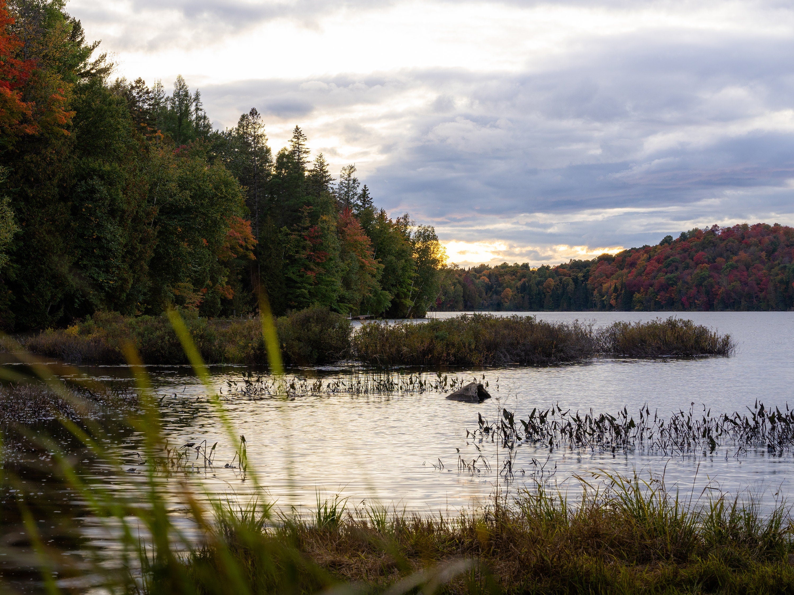 Autumn Flow