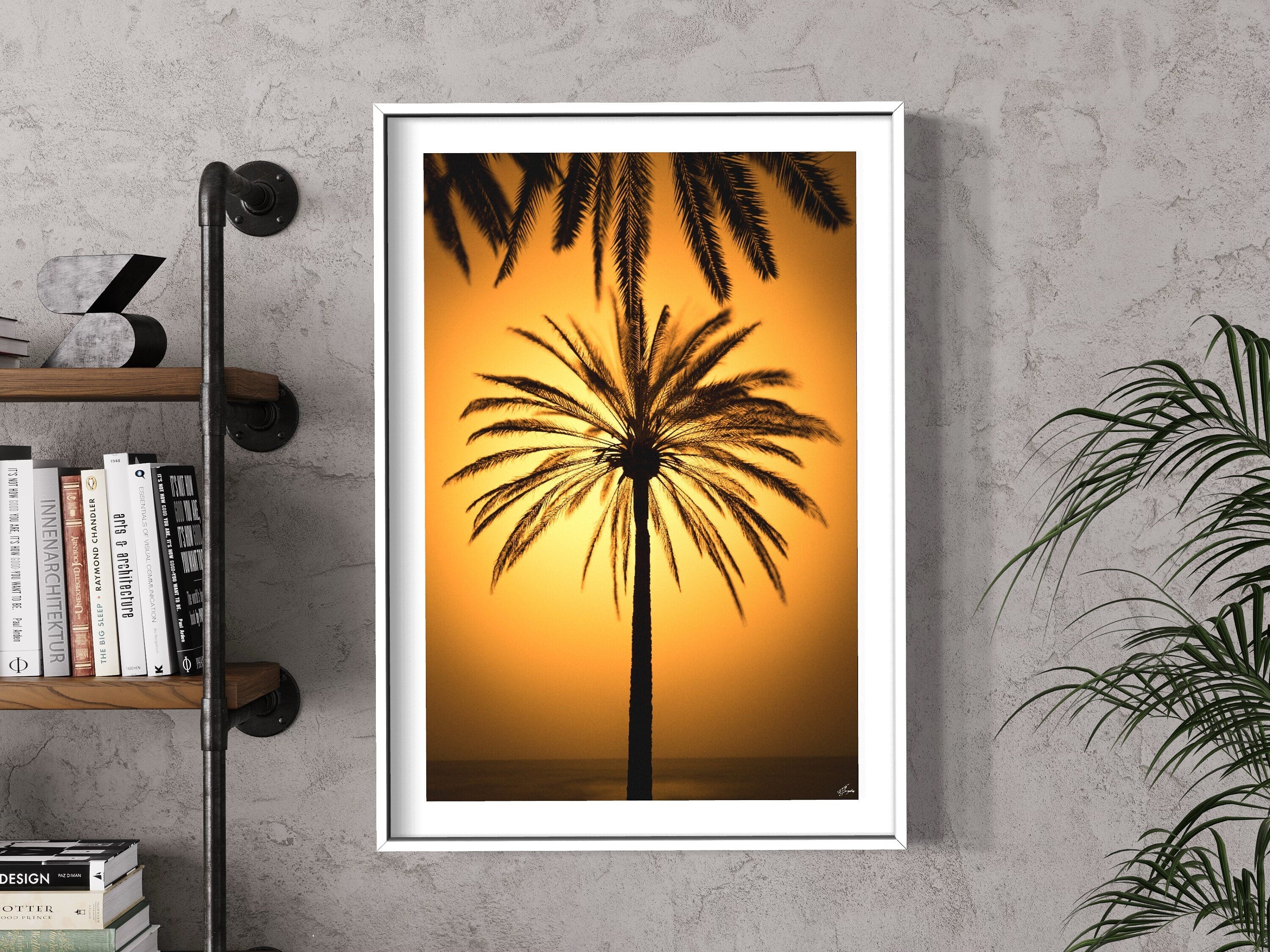 Kalima Palmera