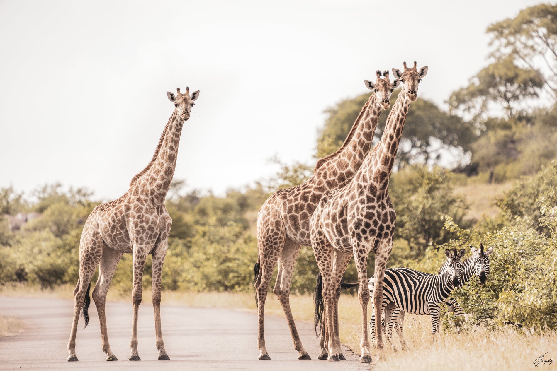 Traveling in South Africa