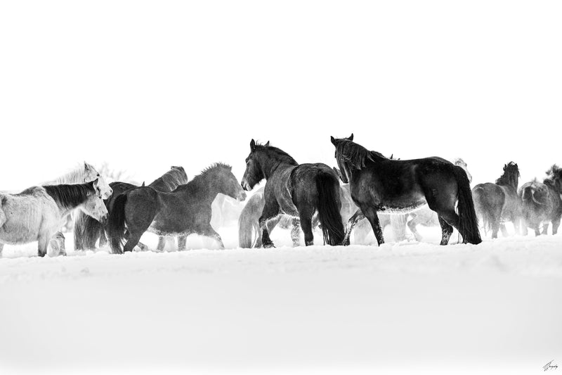 Blizzard