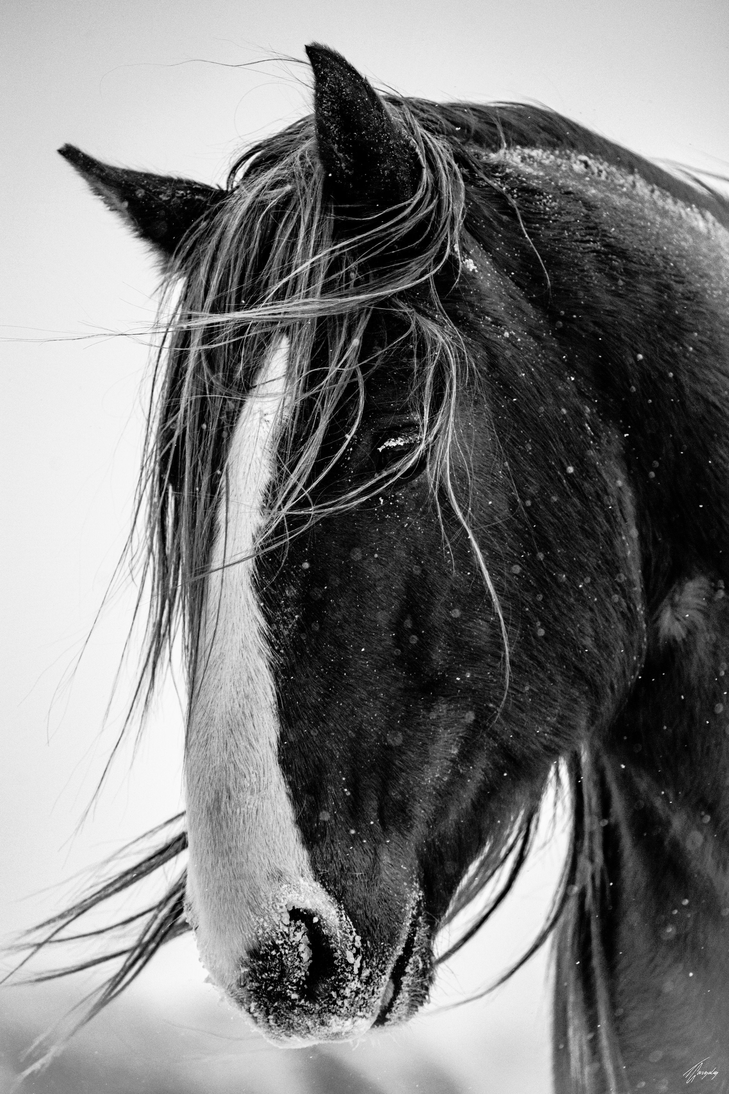 Breeze