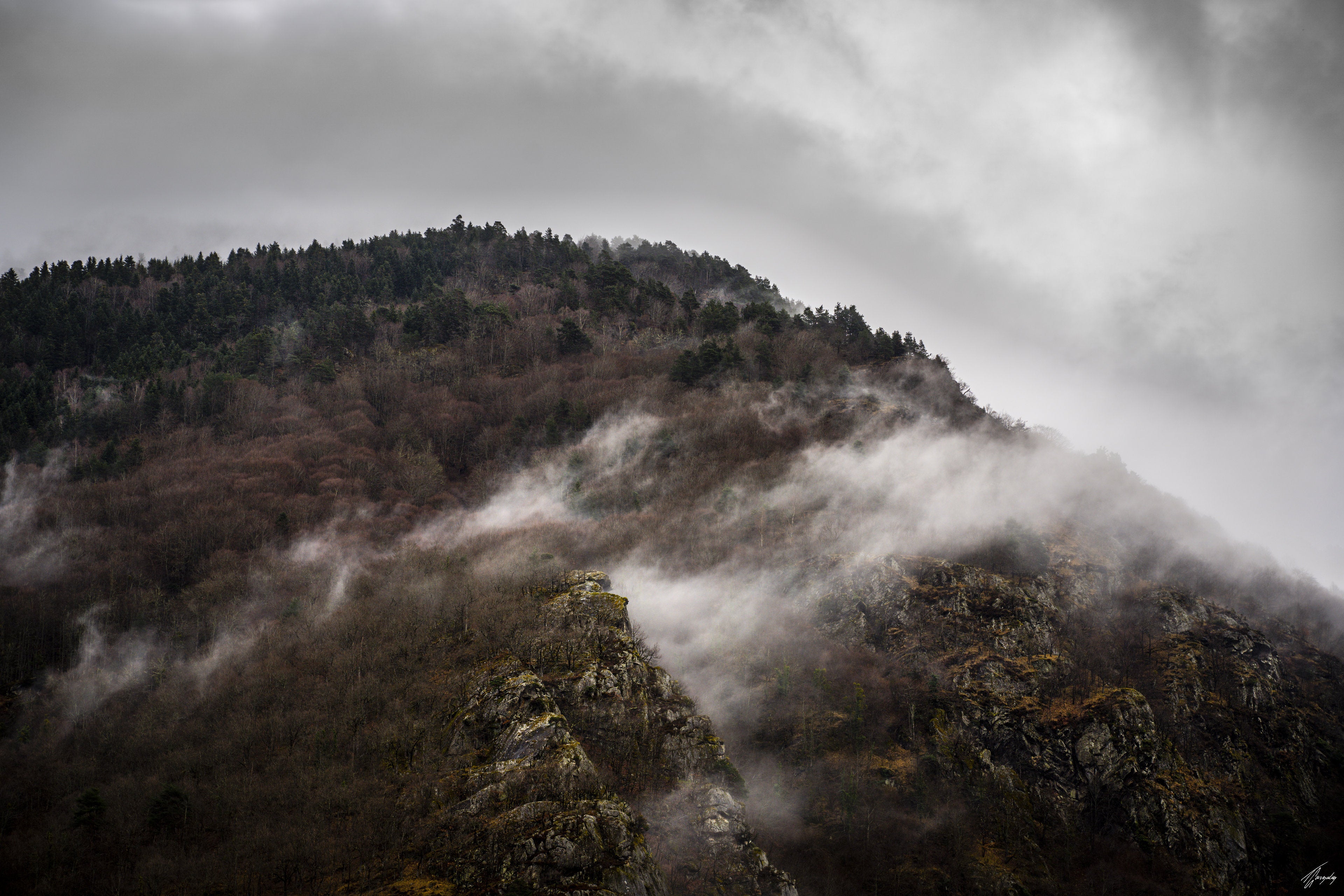 Bruma
