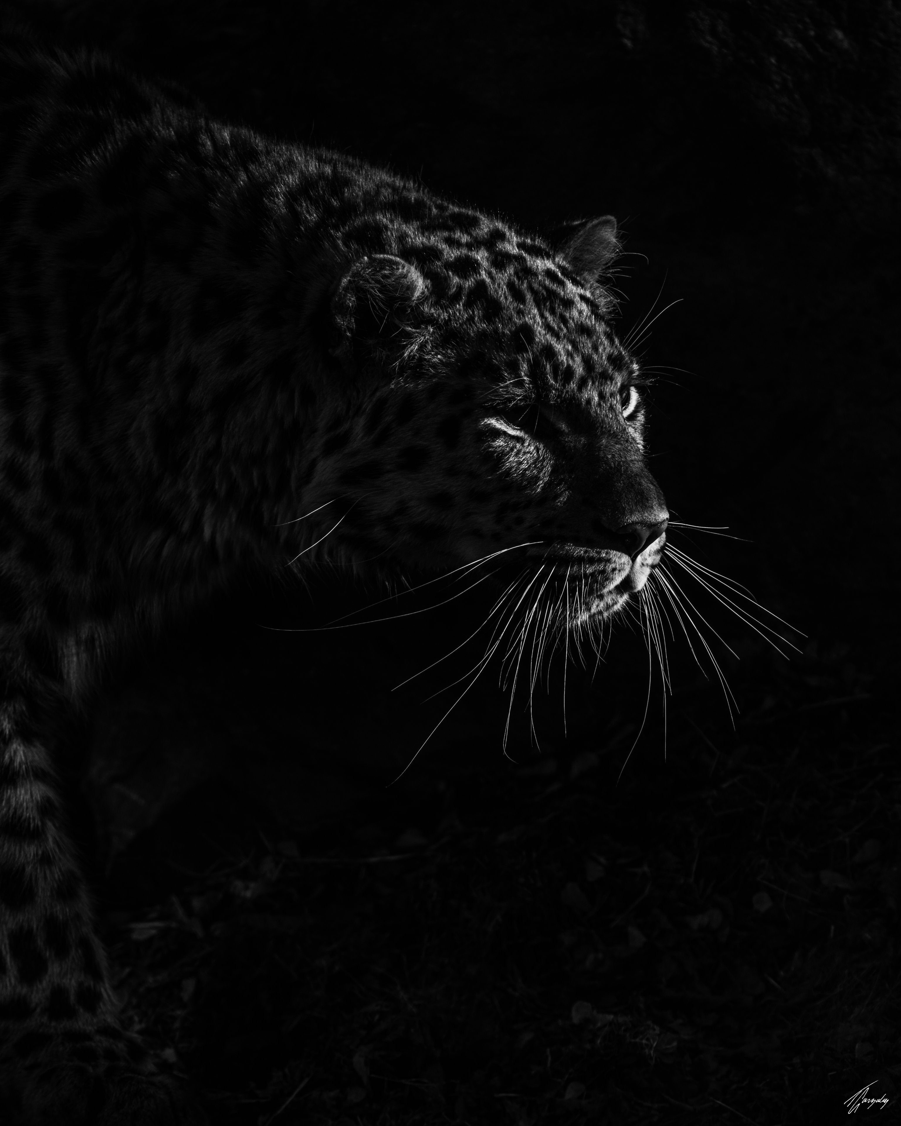 Darkness