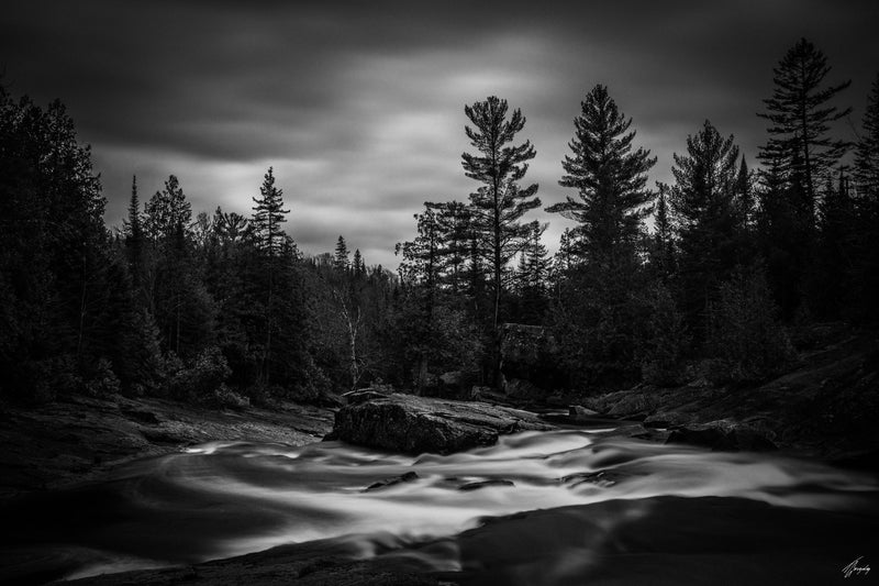 Forest Whirlpool