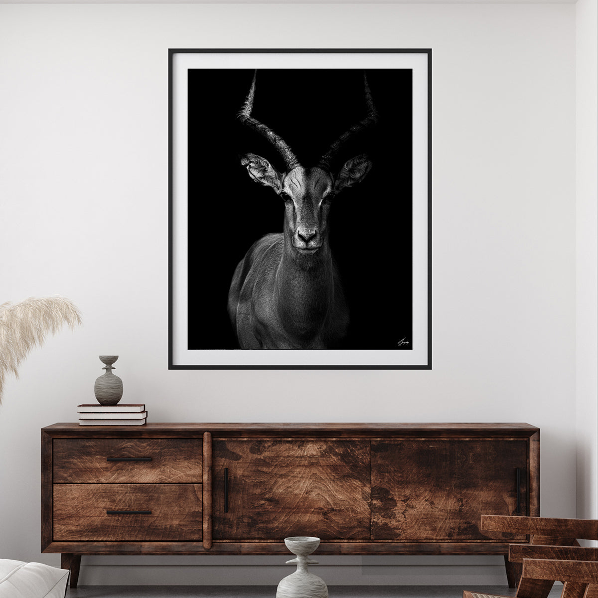 Impala in the Darkness