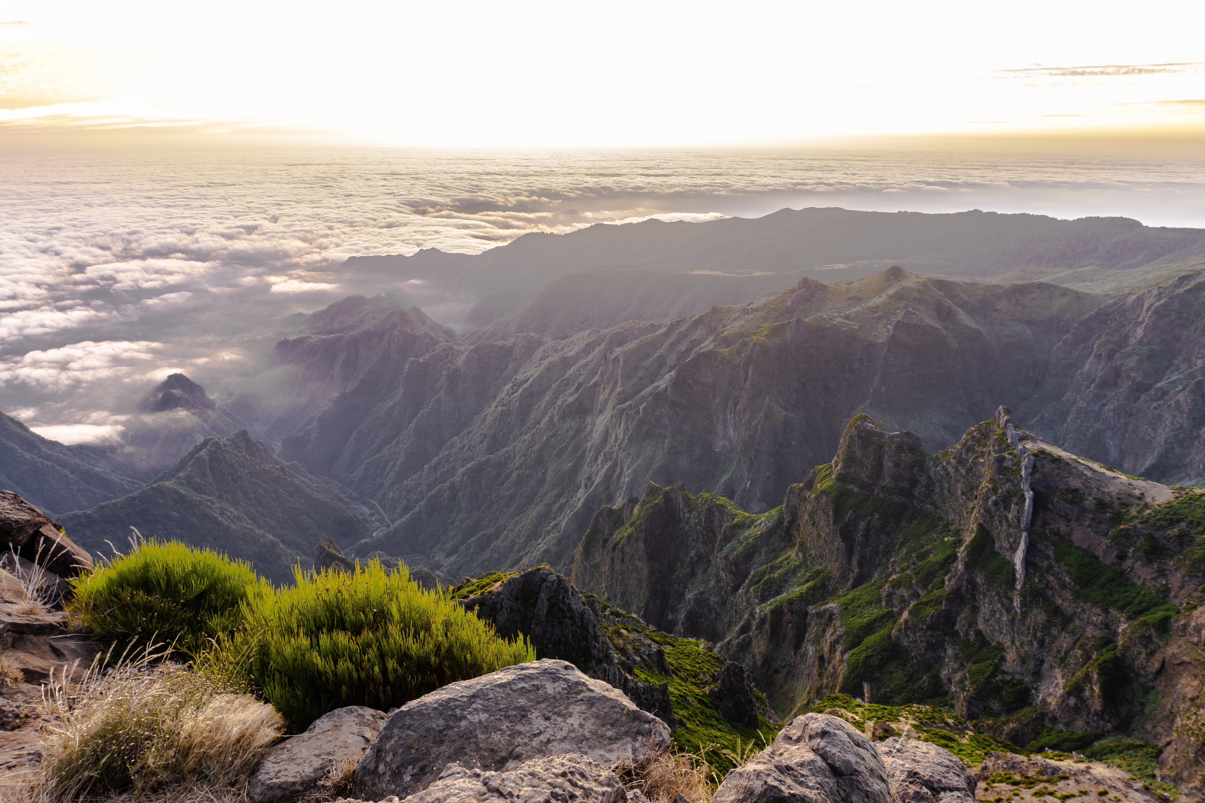 Madeira Roof