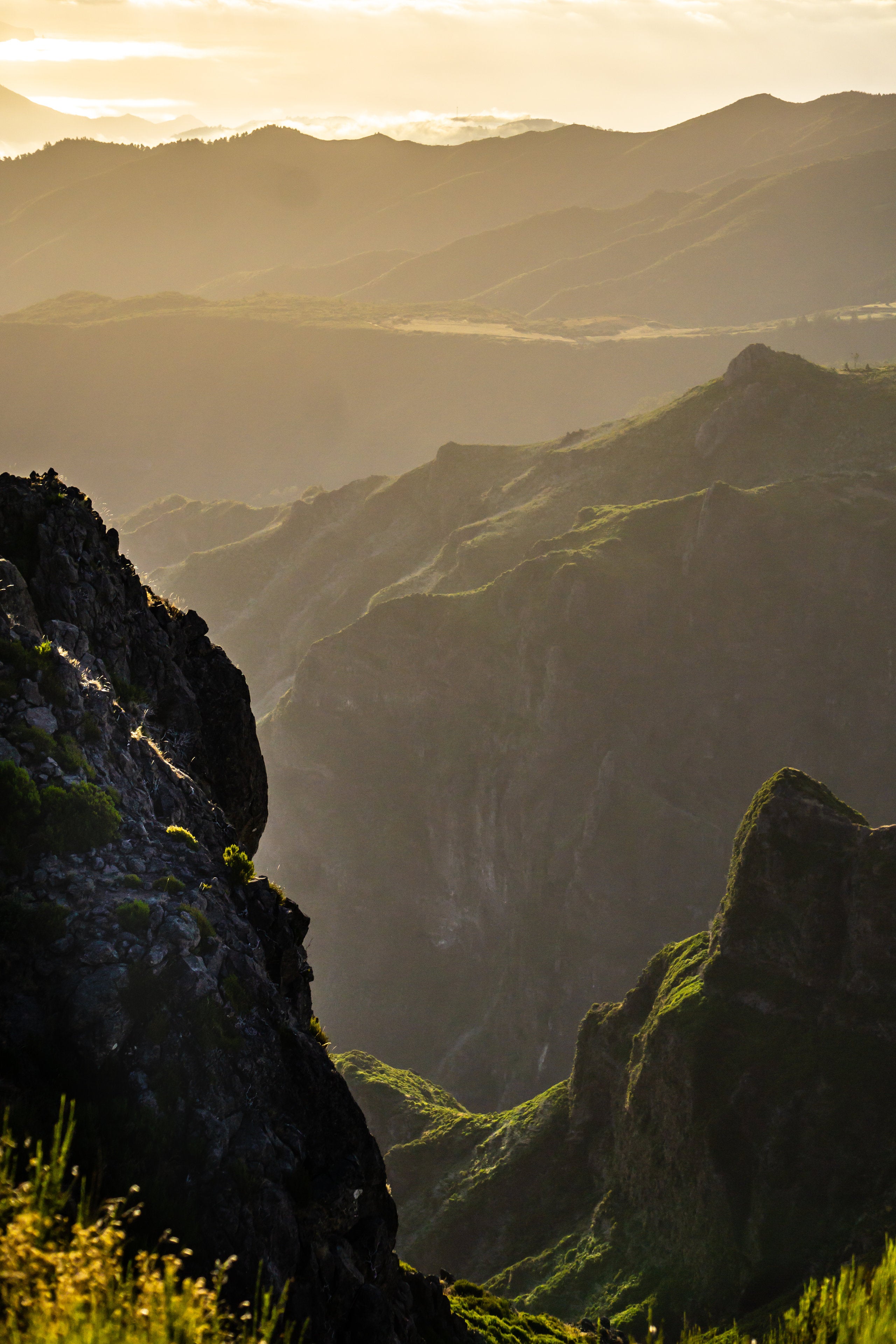 Morning Light
