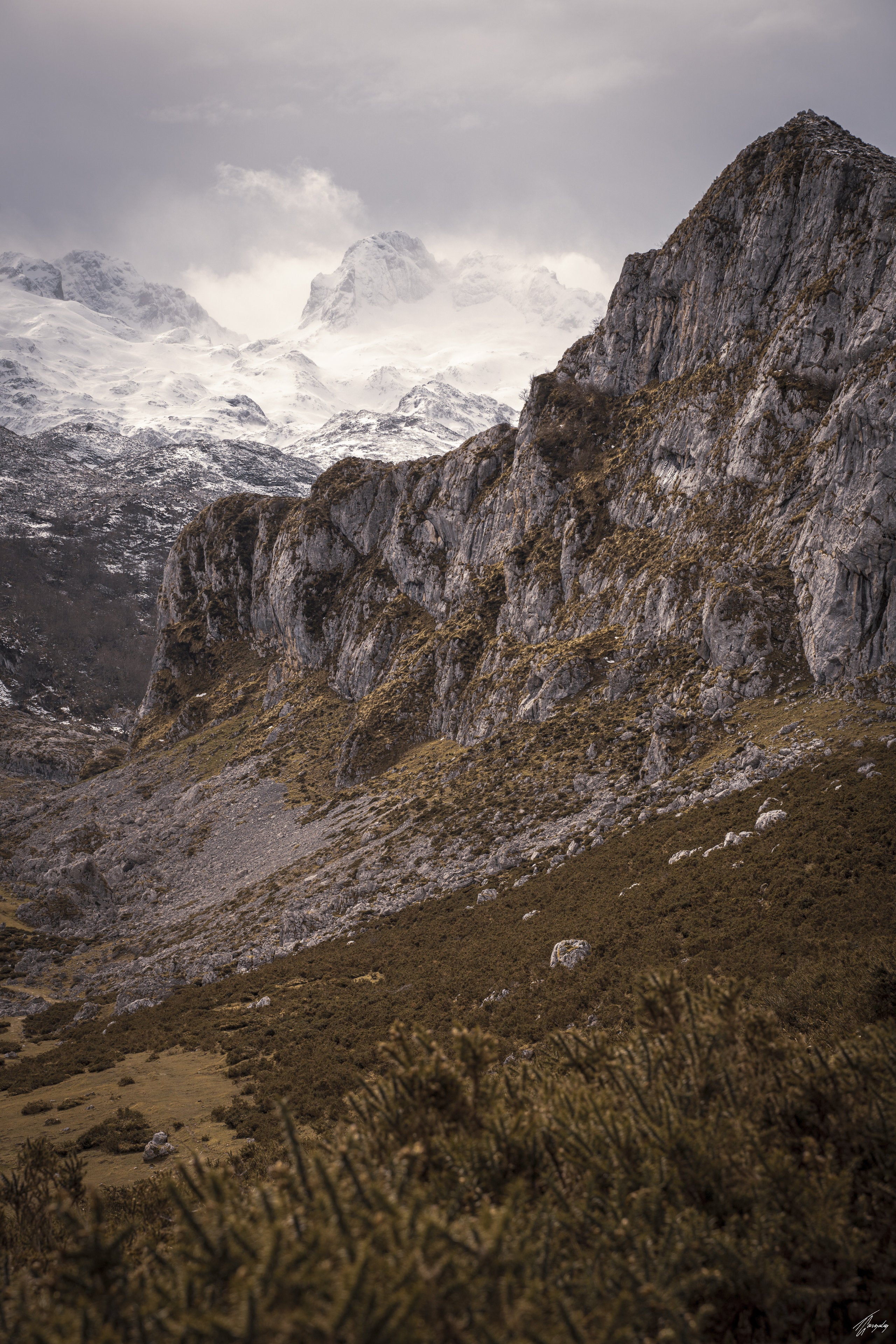 Pico Alto