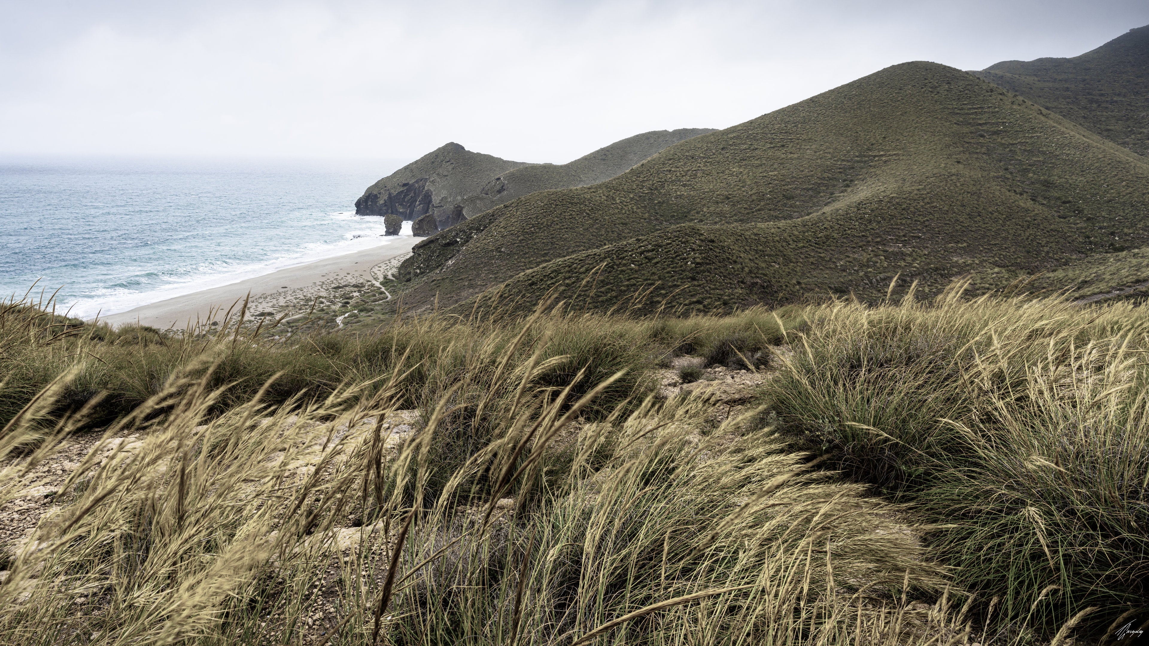 Viento Costero