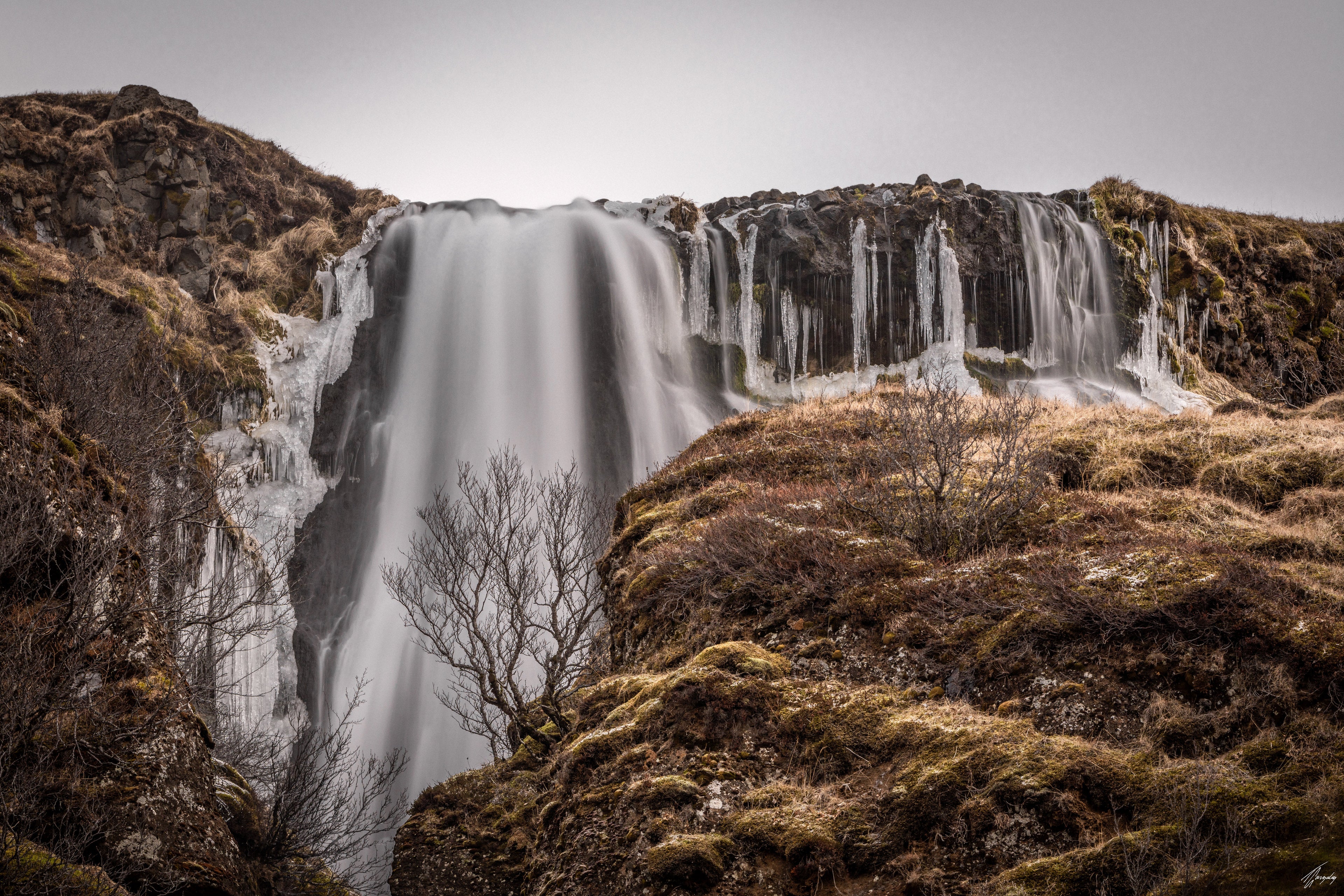 Iceland tree in snowy landscape long exposure photography wall art print soft flowing water and minimalist composition