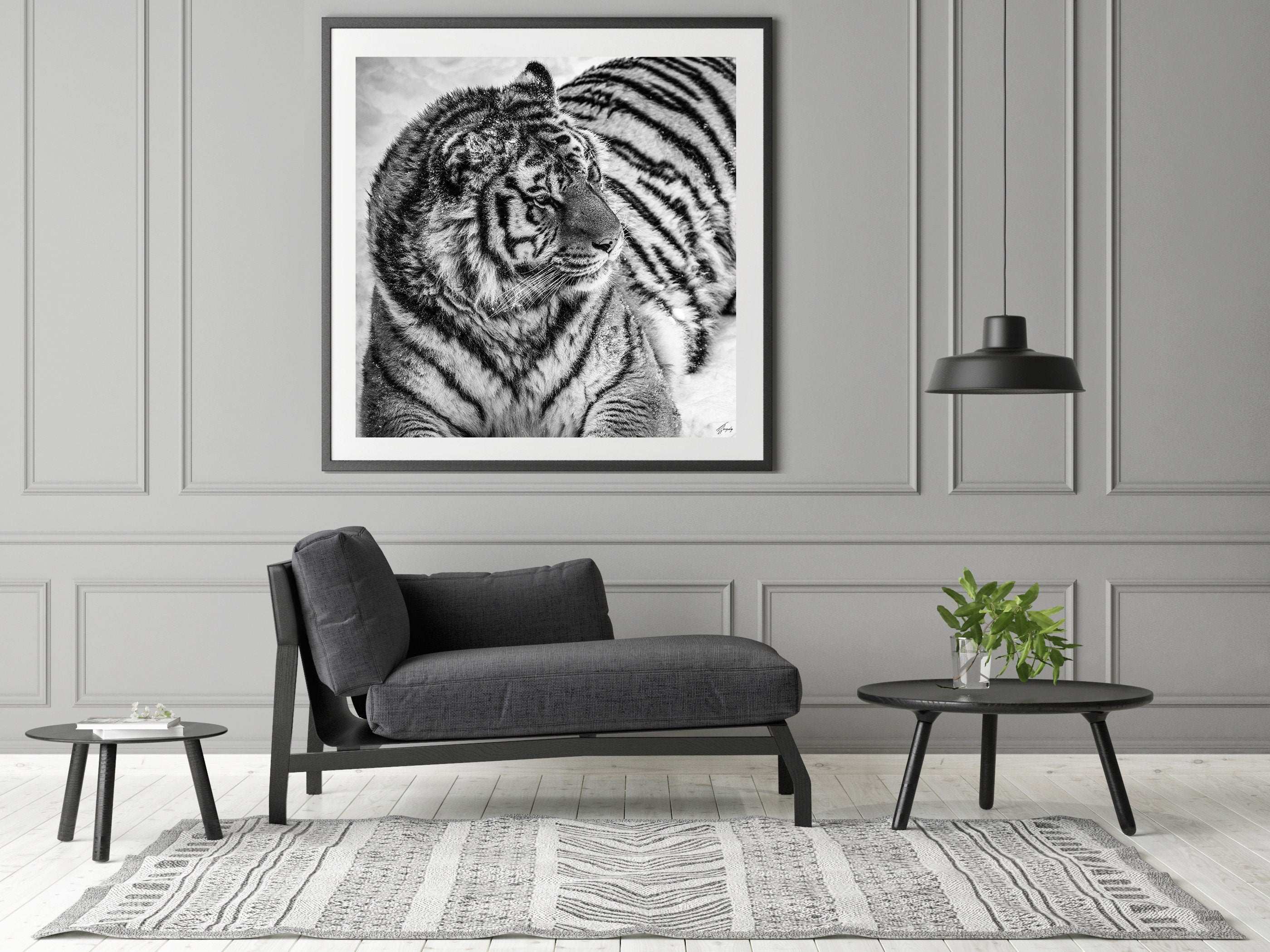 The Quiet Tiger