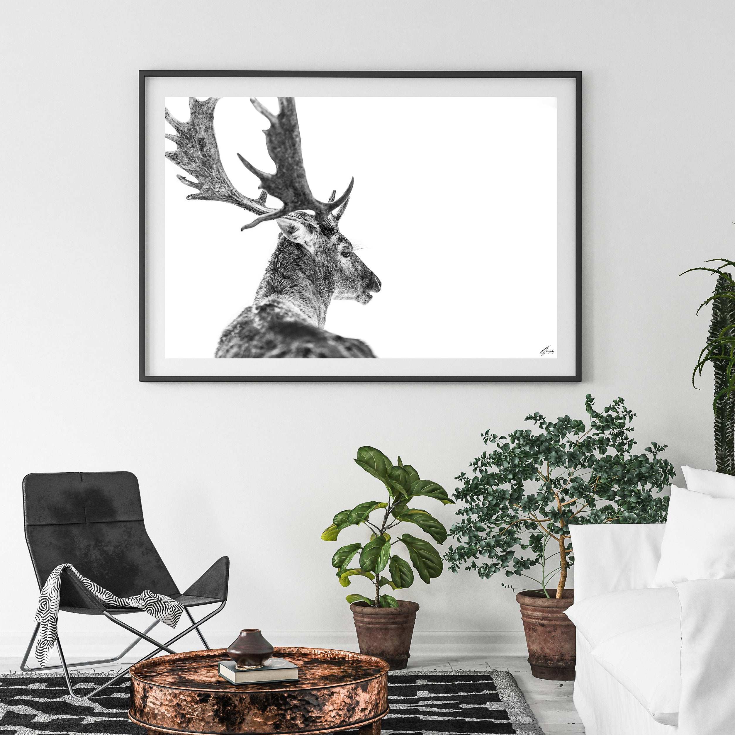 Winter Elegance