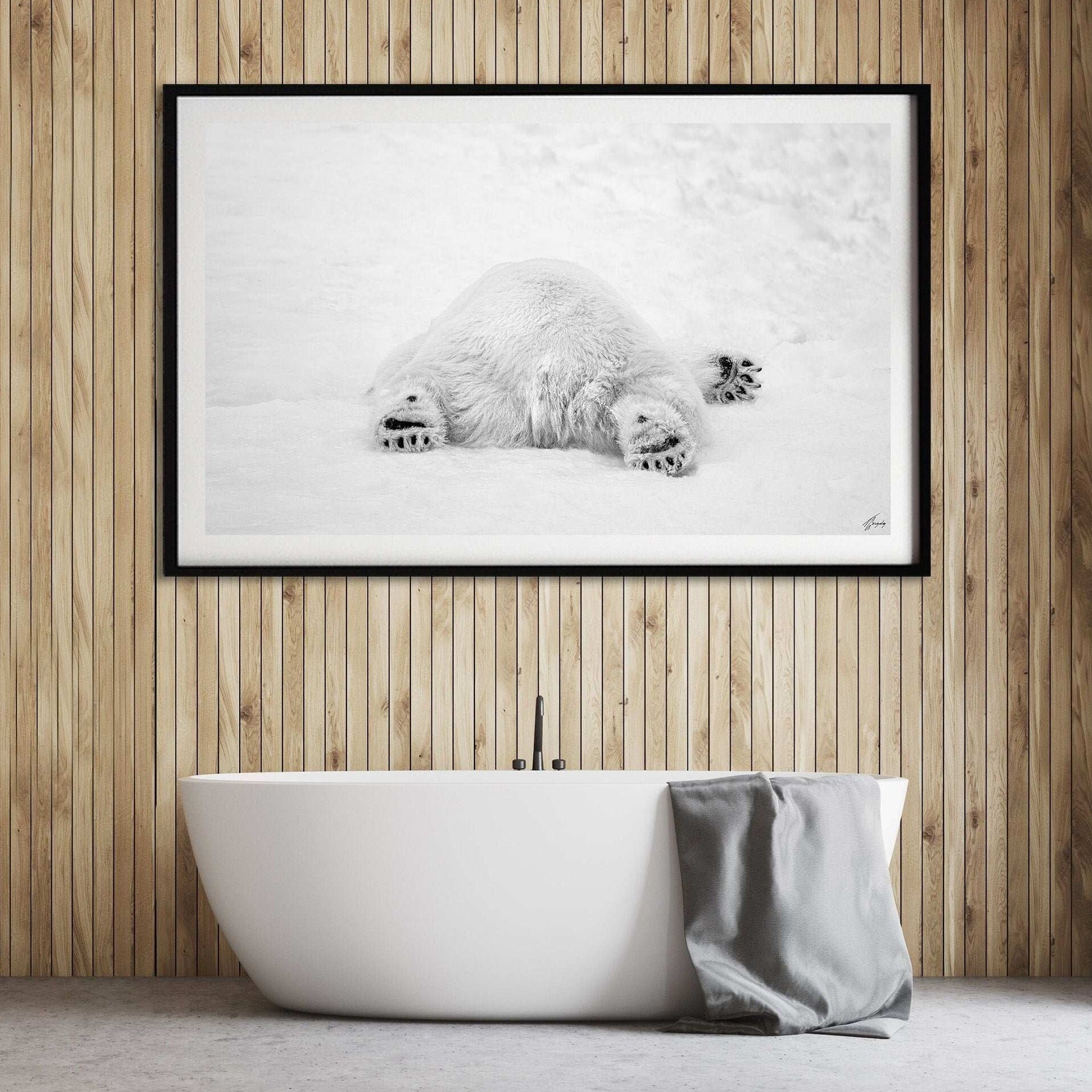 Polar Monday Morning
