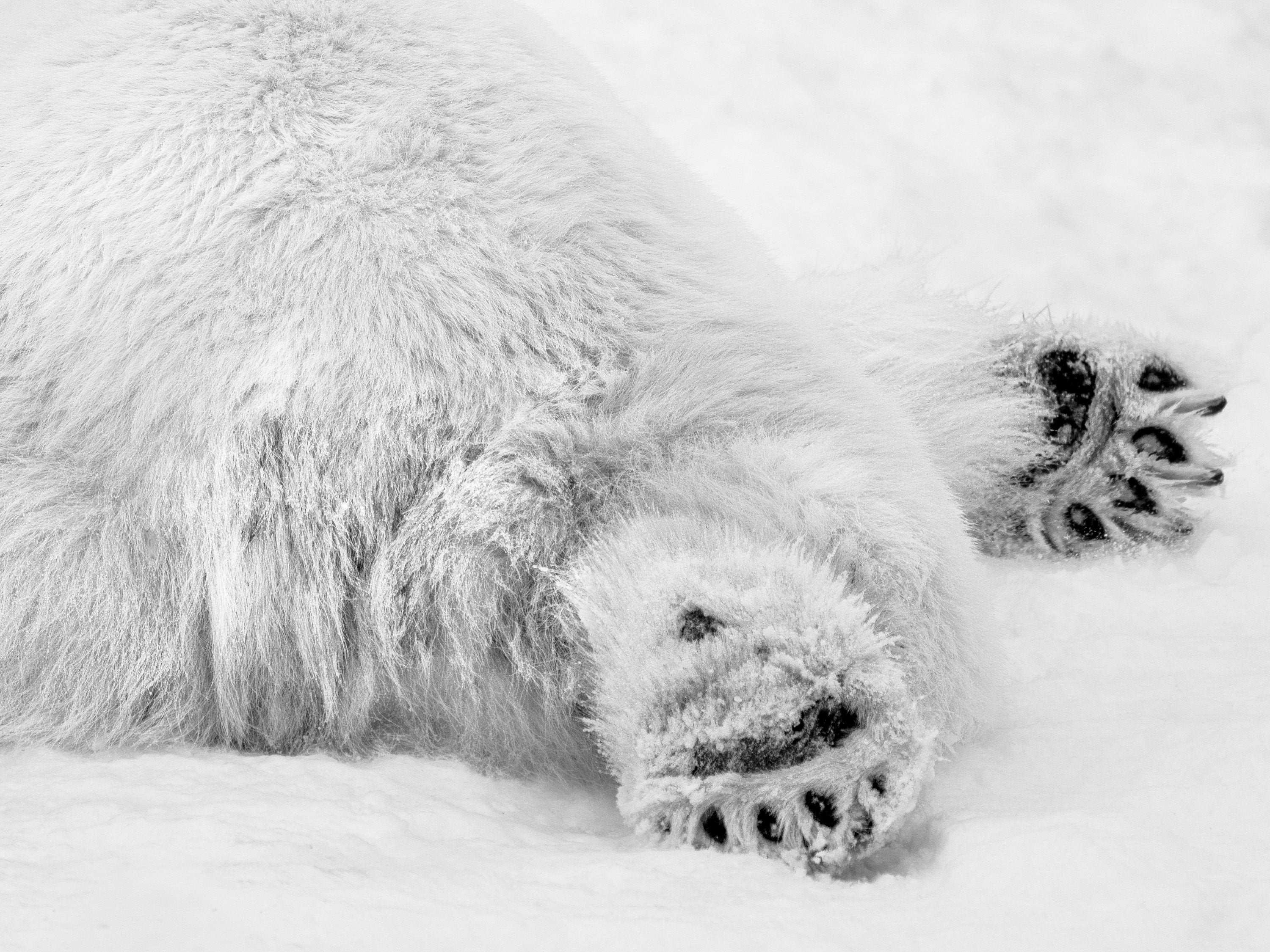 Polar Monday Morning