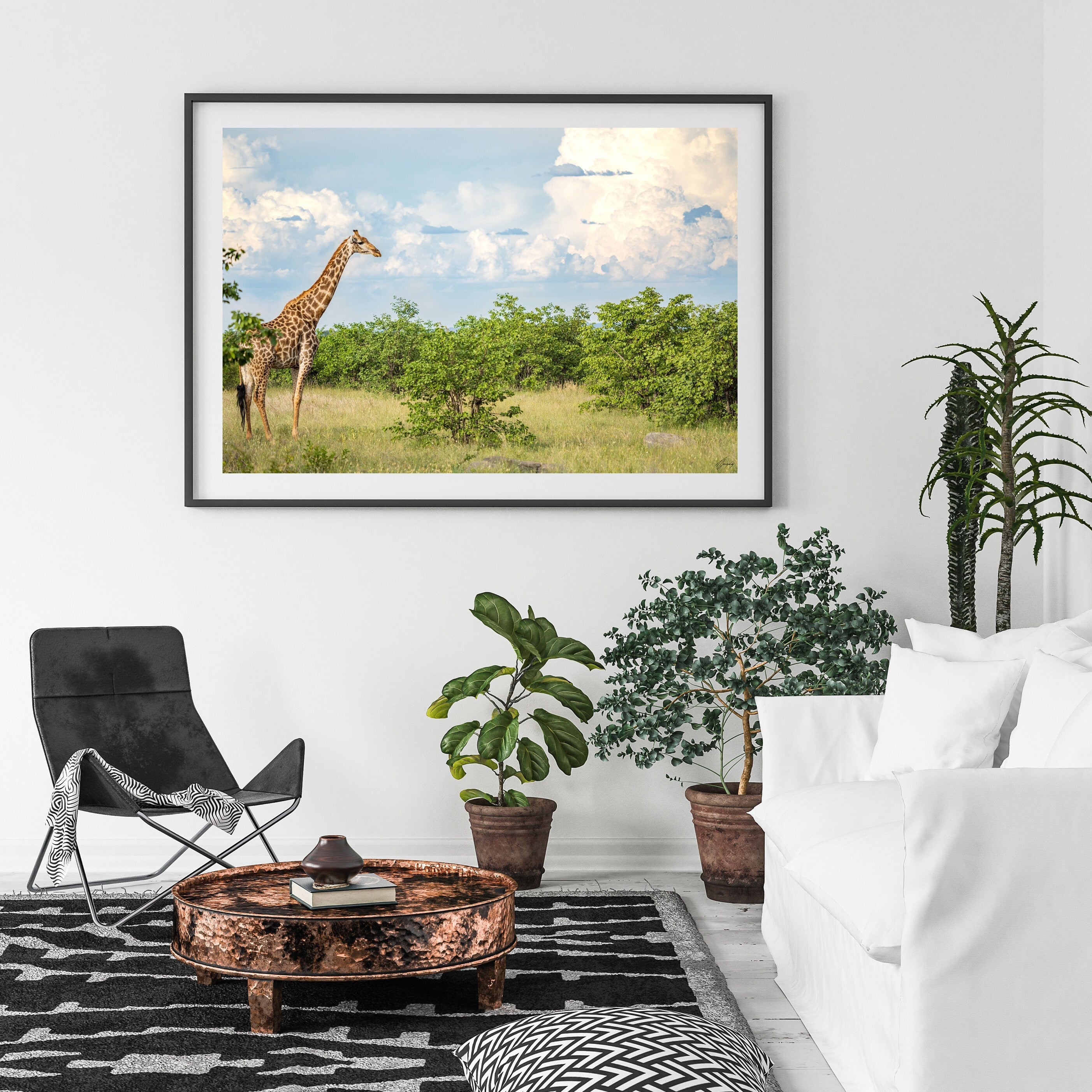 Dream of Africa