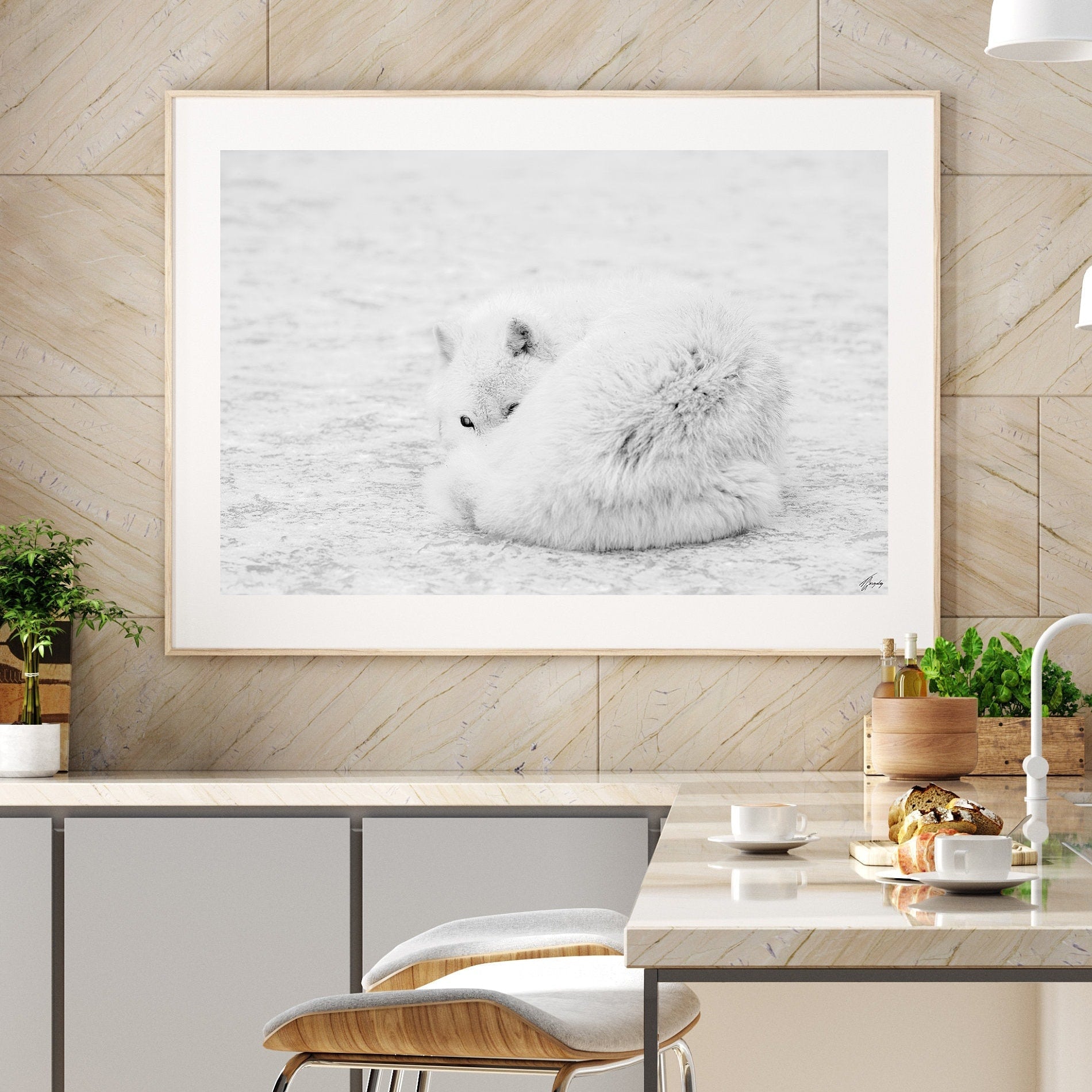 Arctic Wolf