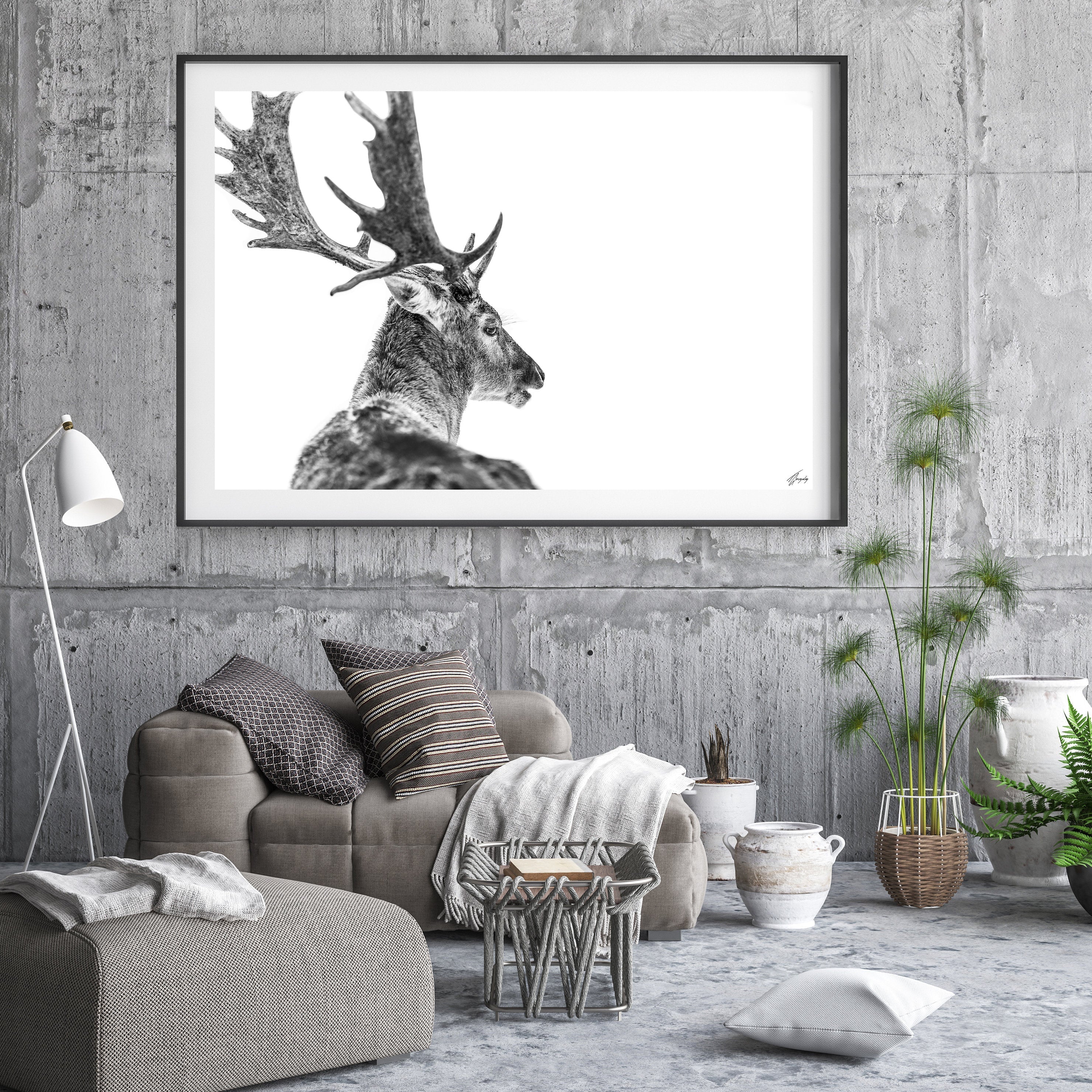 Winter Elegance
