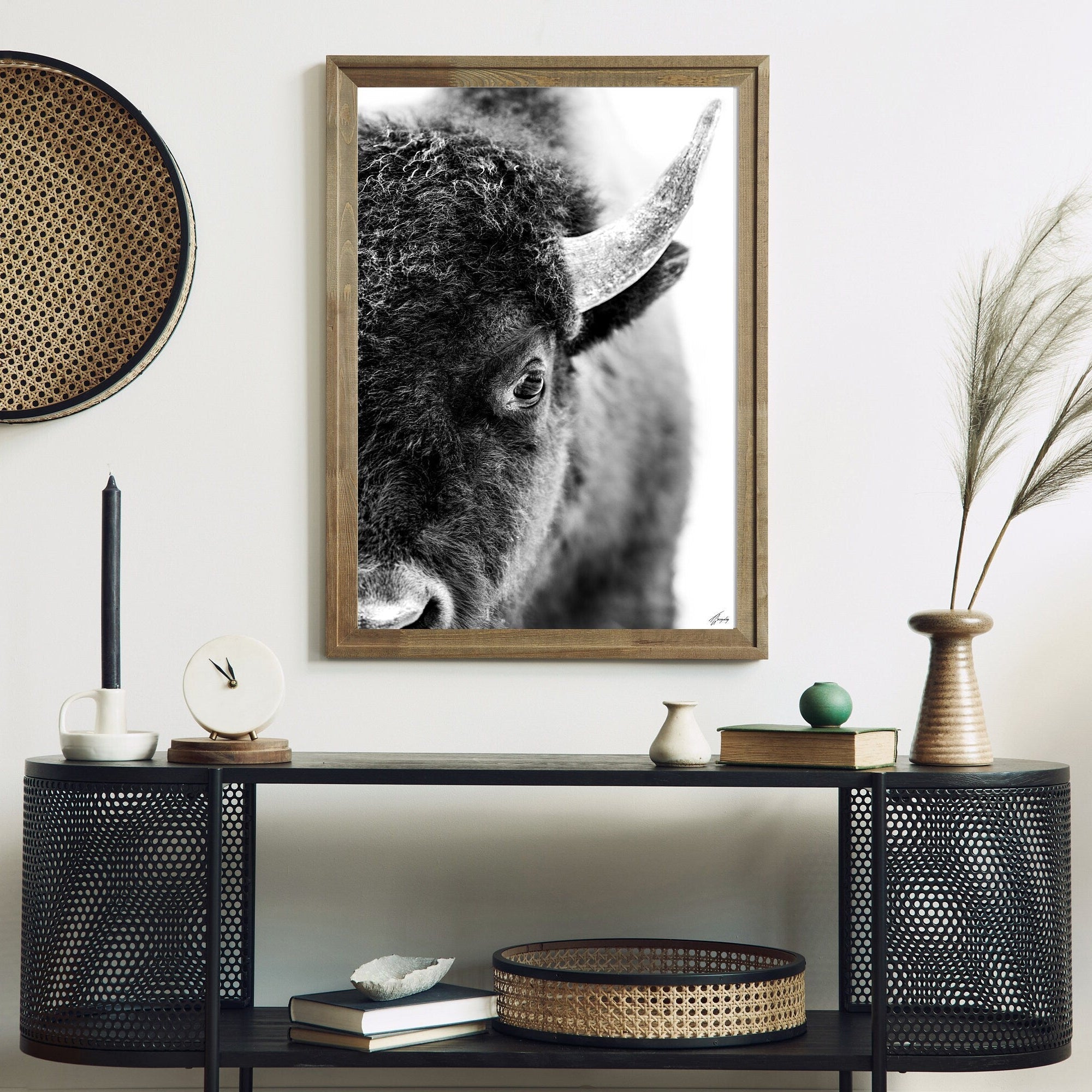 Young Bison