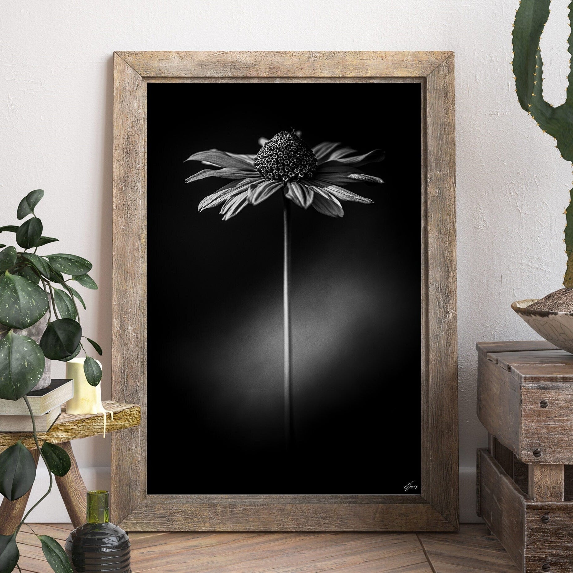 Flora & Darkness No. 15