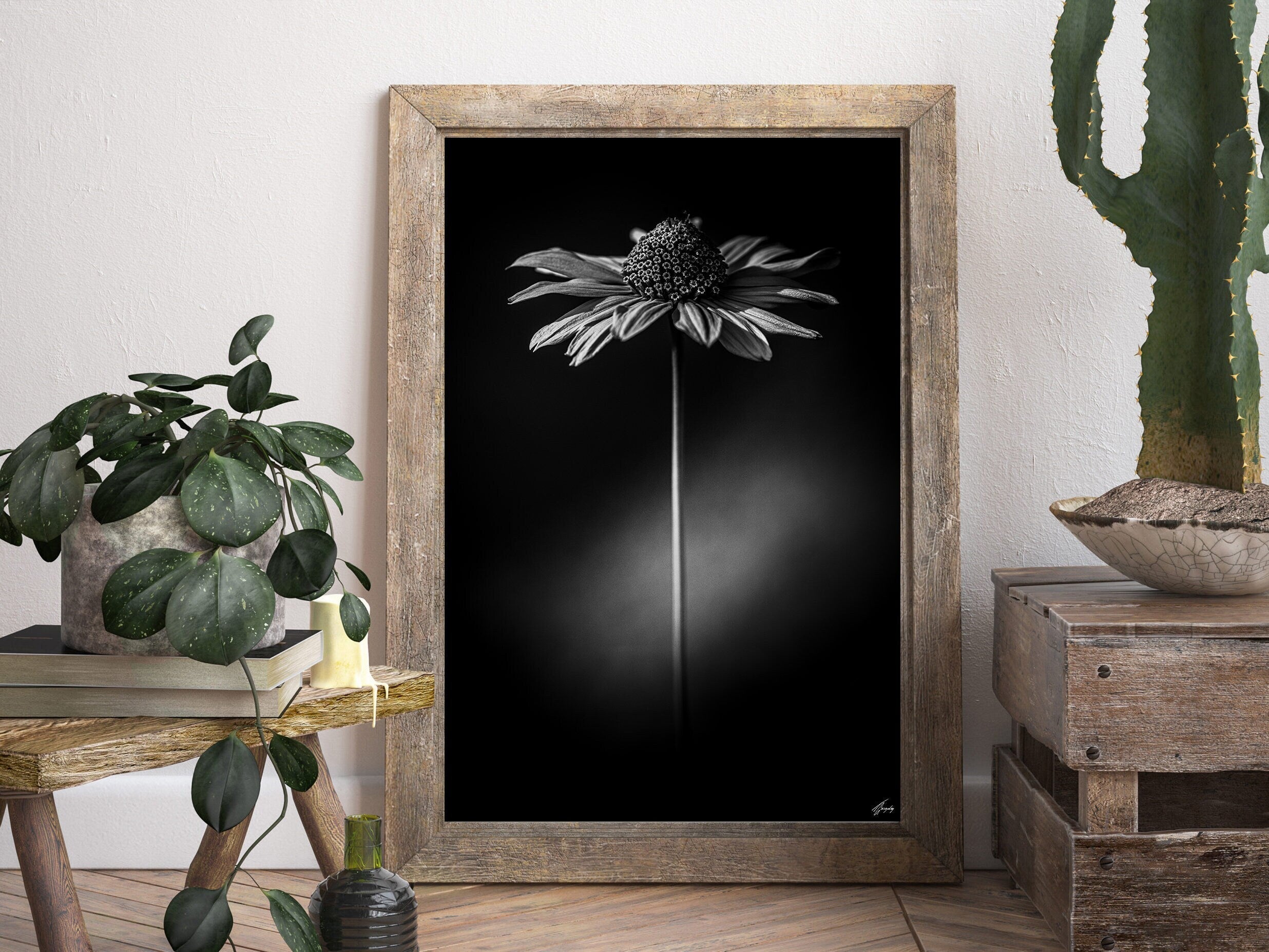 Flora & Darkness No. 15