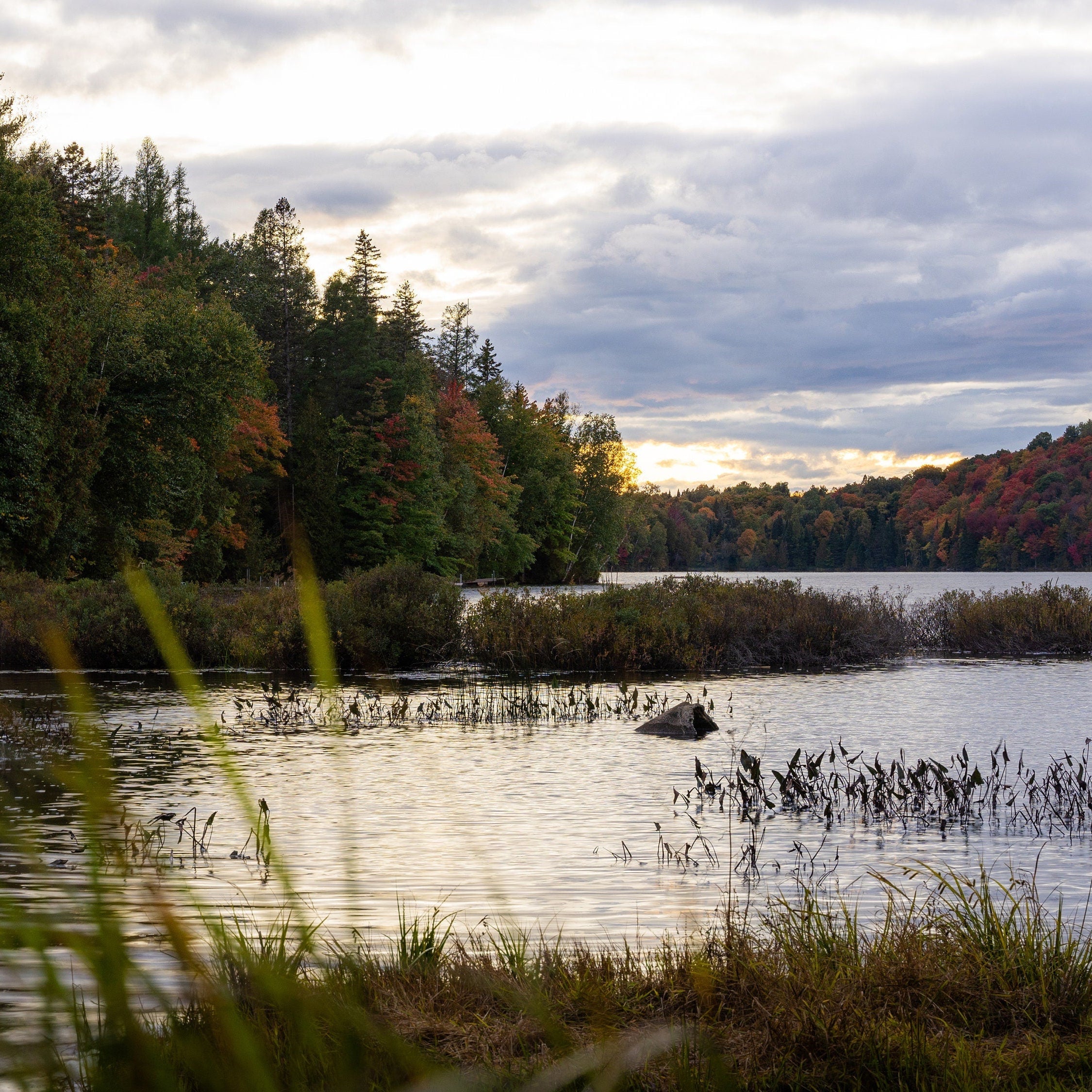Autumn Flow