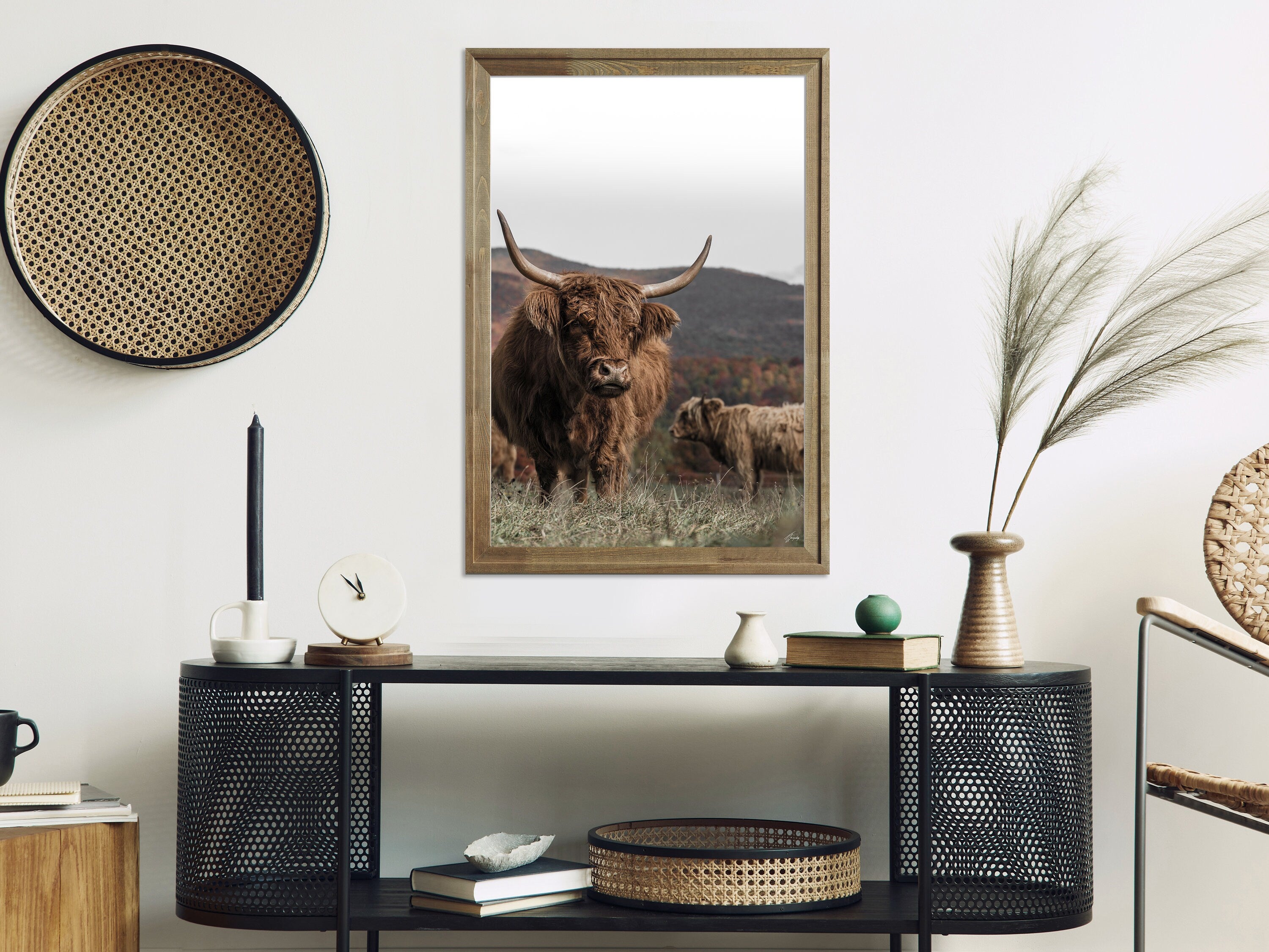 Highland Beauty