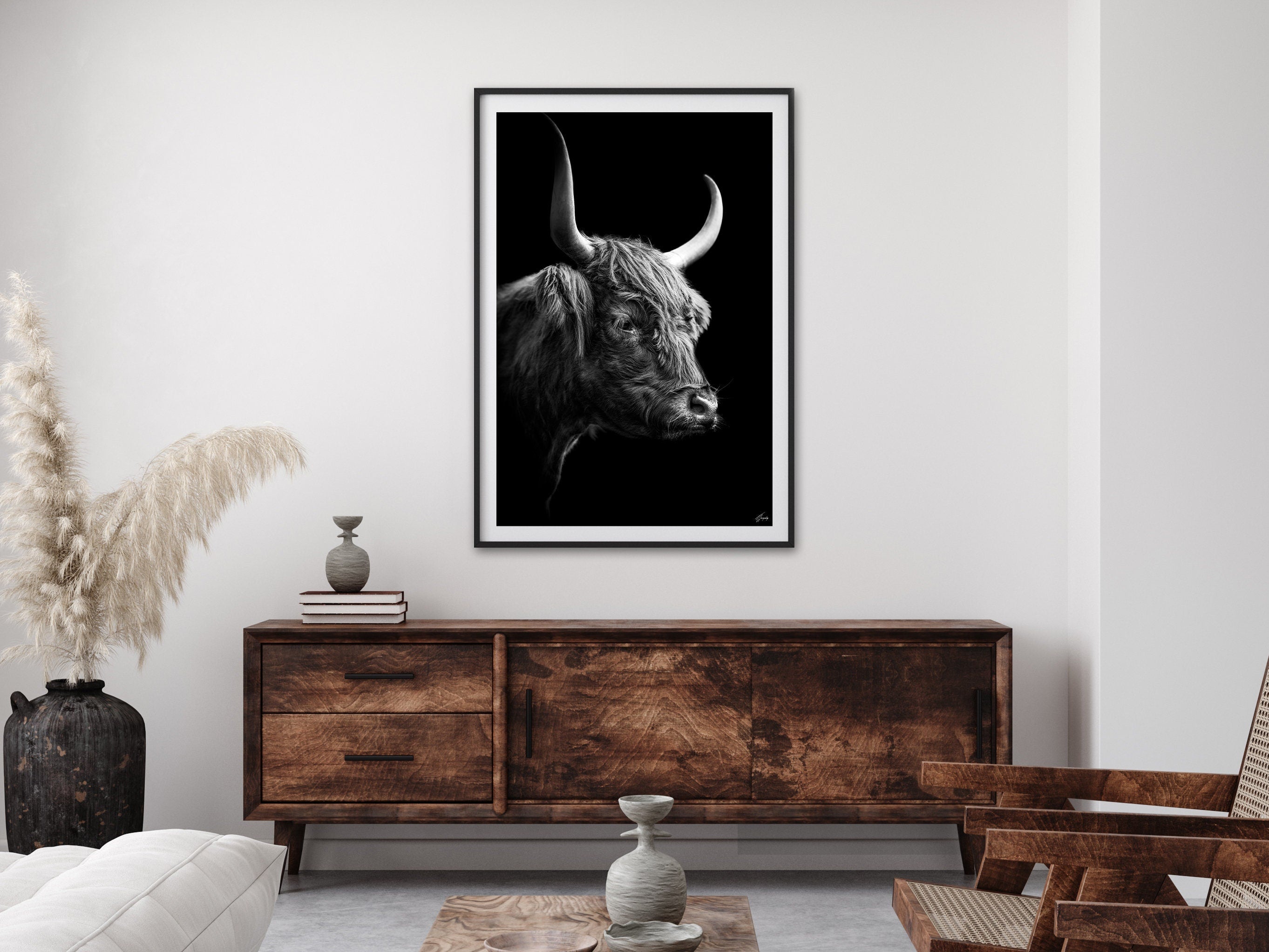 The Dark Highland Cow