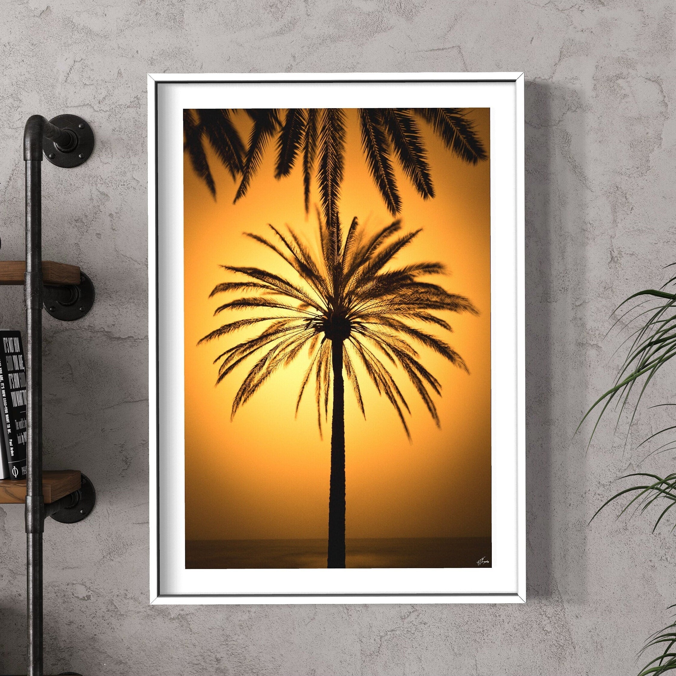 Kalima Palmera